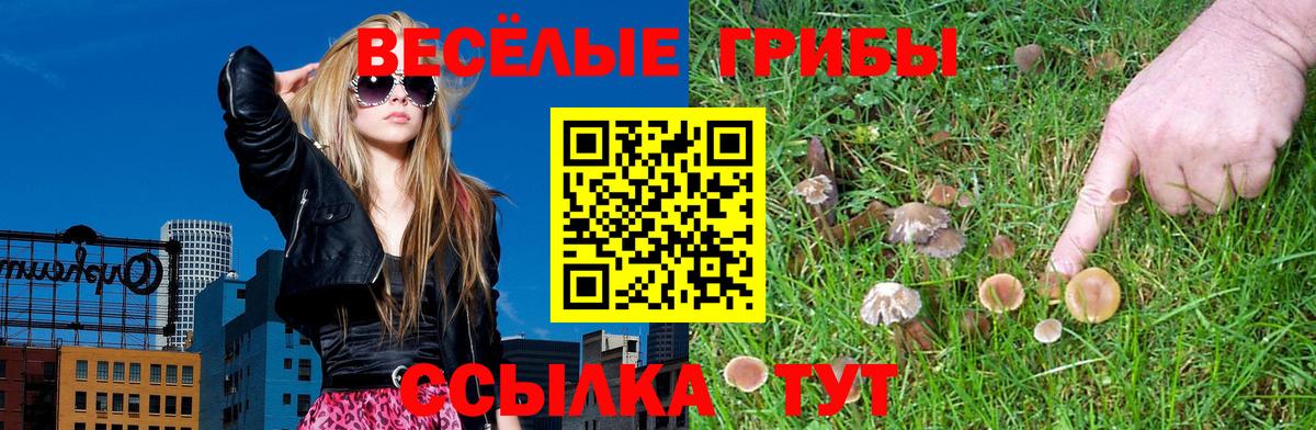 Галлюциногенные грибы ЛСД Биробиджан