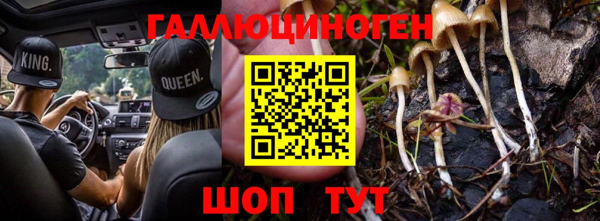 Биробиджан  Галлюциногенные грибы прущие грибы  Вход с VPN  Галлюциногенные грибы мицелий 